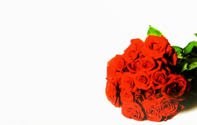 Picture of Florist Cards Small Red Rose x 50pcs